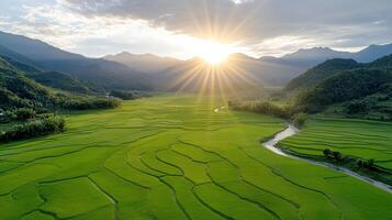 Scenic view of lush green rice terraces at sunrise with mountains photo