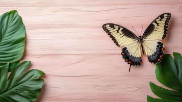 A butterfly on a pink background with green leaves photo