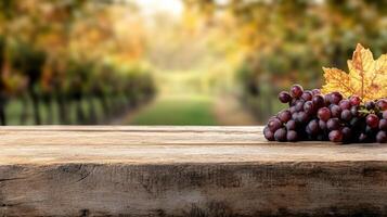Fresh grapes on wooden table with autumn vineyard background photo