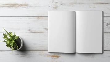 open blank magazine on rustic white table with small plant nearby photo