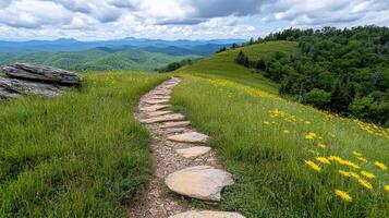 scenic hiking trail surrounded by lush greenery and wildflowers photo