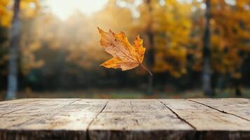 close up of wilted leaf falling from tree, symbolizing change photo