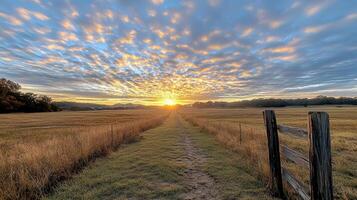 serene sunrise over golden field, with path leading to horizon photo