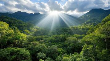 panoramic view of rainforest with sunlight breaking through clouds, creating serene atmosphere photo