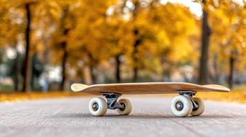 skateboard resting on smooth path surrounded by autumn trees photo