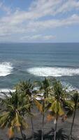 aéreo Visão do vulcânico Preto areia de praia com Palma árvores e oceano ondas dentro bali video