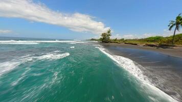 FPV flight over black sand beach with ocean waves and palm trees, Bali Indonesia video