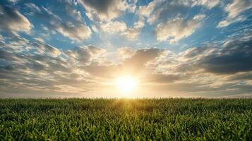 vibrant sunset illuminates field of green grass under cloudy sky photo