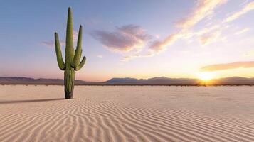 serene desert landscape featuring tall cactus at sunset, with rippled sand photo