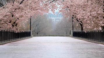 serene cherry blossom forest in full bloom with pink petals falling gently photo