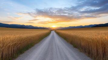 scenic country road surrounded by golden wheat fields at sunset photo