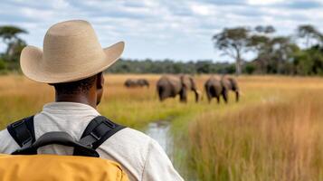 person observing elephants in natural habitat, promoting wildlife conservation photo