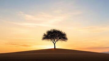 peaceful silhouette of lone tree against stunning sunset photo