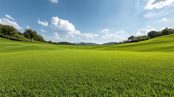 Lush green meadow under bright blue sky with fluffy clouds photo