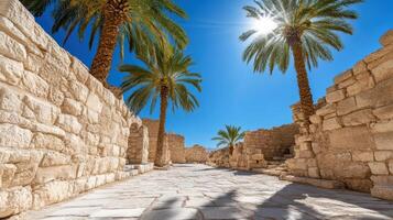 serene view of ancient stone ruins lined with tall palm trees under bright sun photo