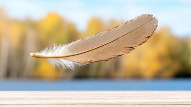 Feather on the table with a lake in the background photo