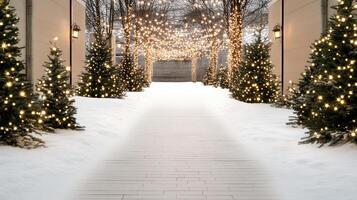A walkway lined with trees and lights photo