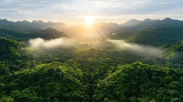 tranquil jungle landscape with sunlight breaking through mountains photo