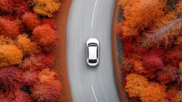 Aerial view of car on winding road surrounded by vibrant autumn foliage photo