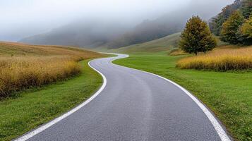 foggy morning scene with winding road through green fields and trees photo