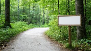 serene forest trail inviting you to explore nature beauty photo