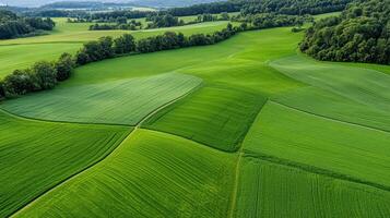 Lush green fields create stunning patchwork landscape in countryside photo