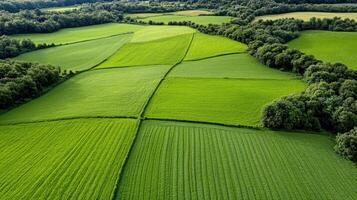 Aerial view of lush green countryside fields with patchwork patterns photo