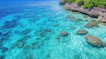 Aerial view of vibrant coral reef with clear blue water and rocky shoreline photo