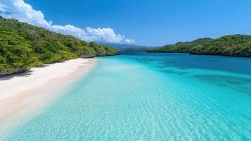 Aerial view of serene beach with turquoise waters and lush greenery photo
