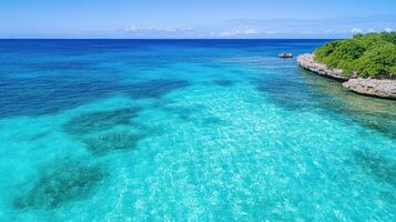 Aerial view of vibrant coral reef with clear turquoise waters and rocky shore photo