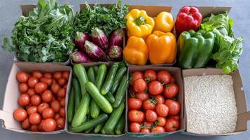 Fresh organic vegetables including tomatoes, cucumbers, and bell peppers arranged neatly photo