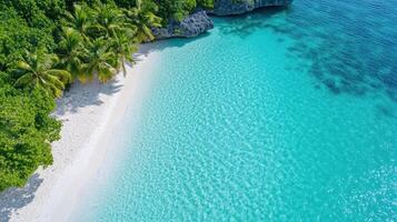 Aerial view of tropical beach with clear turquoise water and lush palm trees photo