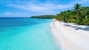 Aerial view of serene beach with palm trees and turquoise water, inviting relaxation photo
