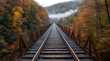 serene view of railway tracks leading through vibrant autumn foliage, evoking sense of photo