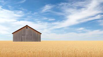Rustic barn in golden wheat fields under bright blue sky evokes tranquility and beauty photo