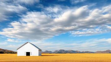 serene white barn stands alone in golden wheat fields under vast blue sky photo