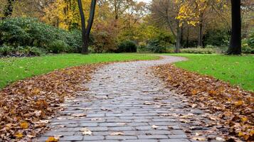 winding pathway covered with autumn leaves invites exploration in serene park setting photo