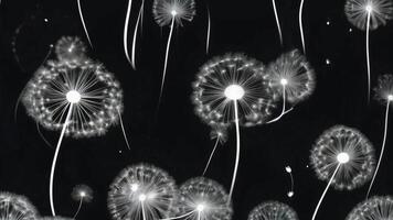 pissenlit des graines flottant gracieusement dans le nuit ciel créer une magique atmosphère video