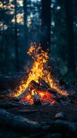 Enjoying a cozy campfire in a summer forest clearing under the evening sky photo
