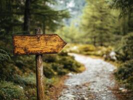 Wooden sign marks a winding path through a lush forest photo