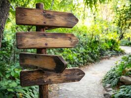 Wooden signpost with multiple arrows in a botanical garden setting photo