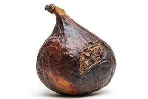 Dark brown fig with unique texture exhibited on white background photo