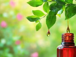 Essential oil bottle with fresh leaves and drops in natural setting photo