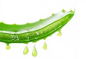 Fresh aloe vera leaf with droplets in clear background photo
