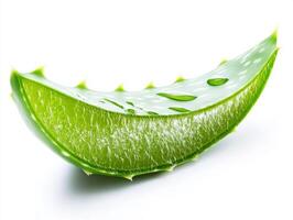 Fresh green aloe vera leaf with droplets of water photo