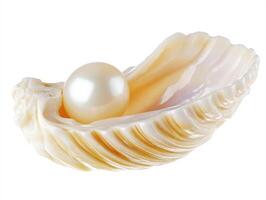 Pearl nestled in an open seashell on a white background photo