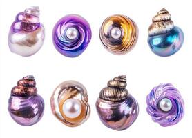 Colorful decorative seashells arranged creatively for display photo