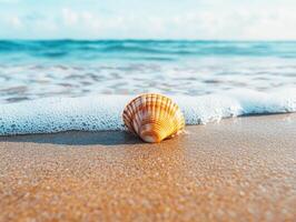 Shell rests on golden sand by gentle waves at the beach photo