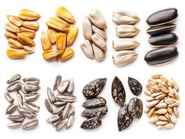 Variety of raw seeds arranged neatly on a white background photo