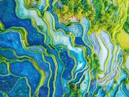 Stunning aerial view of vibrant terraced rice fields in Bali photo